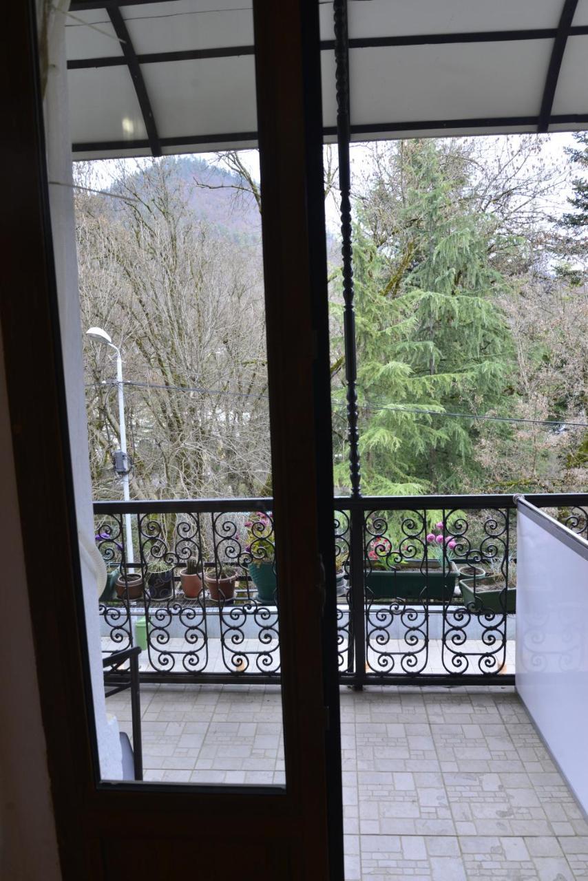 Hotel Victoria Borjomi Exterior photo